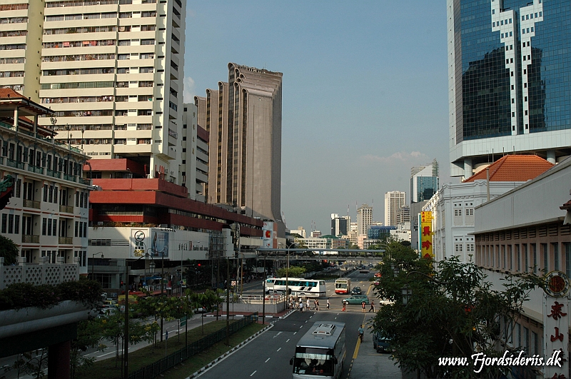 DSC_3172.JPG