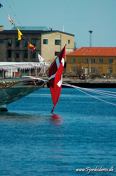 DSC_9232.JPG
