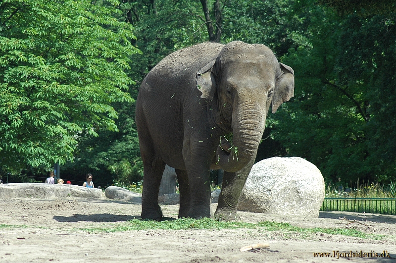 DSC_7489.JPG - Berlin Zoo 2005