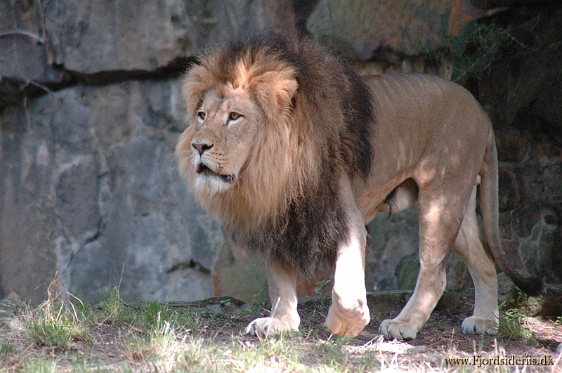 DSC_8021.JPG - Berlin Zoo 2005