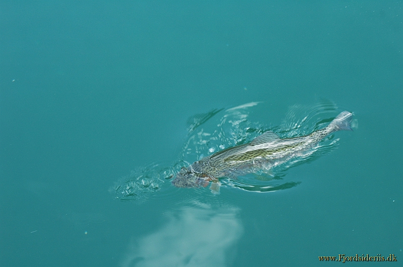 DSC_2961.JPG