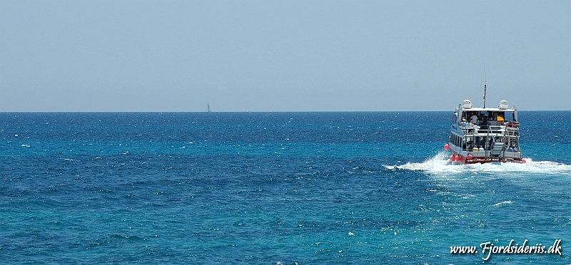 DSC_2788.JPG