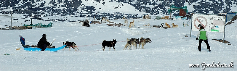 DSC_4194.JPG - KOM SÅ.....